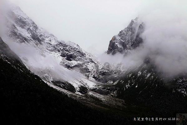 天津地区津原89适合水稻直播种植吗？